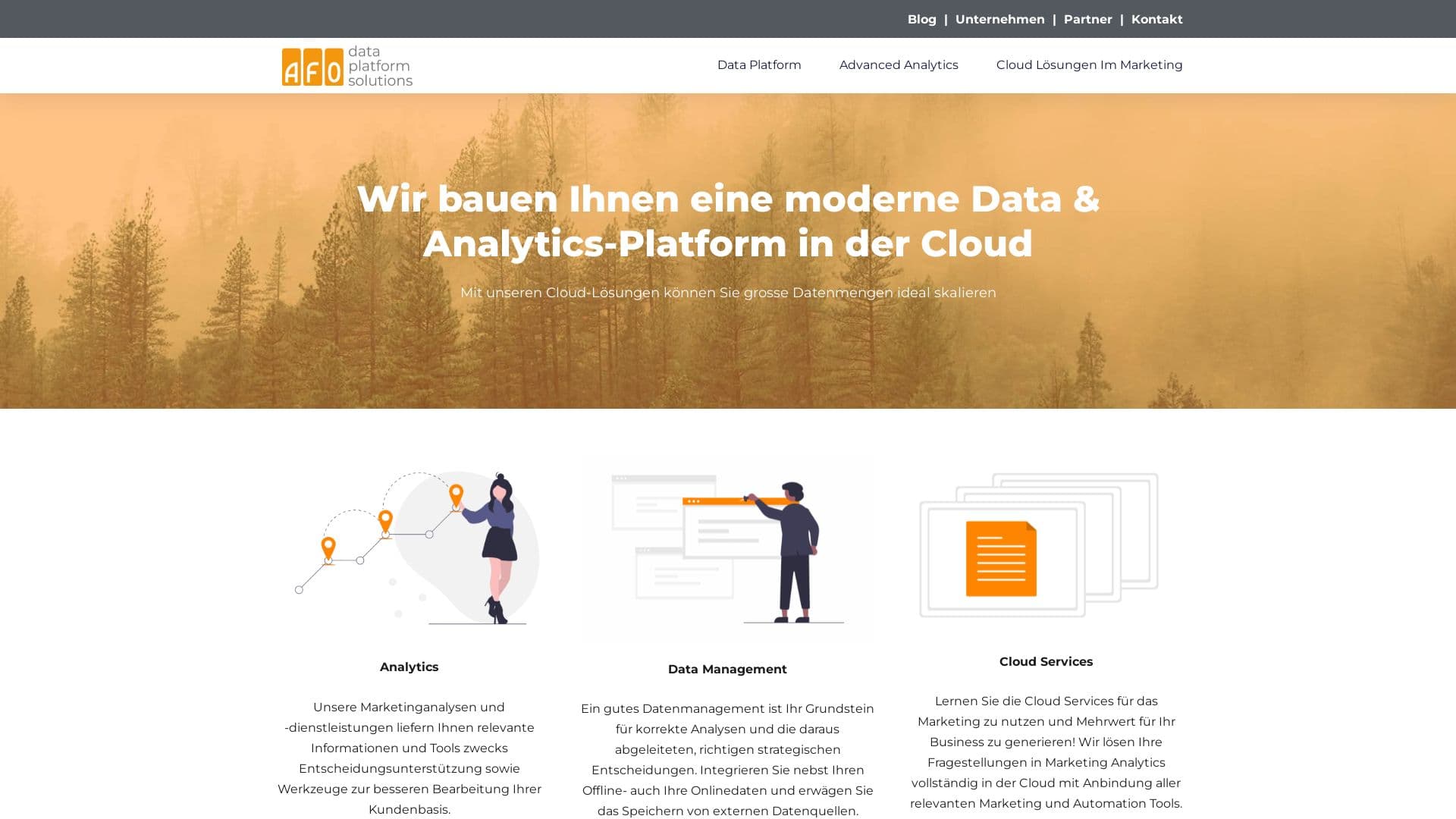 afo solutions ag - Geomarketing