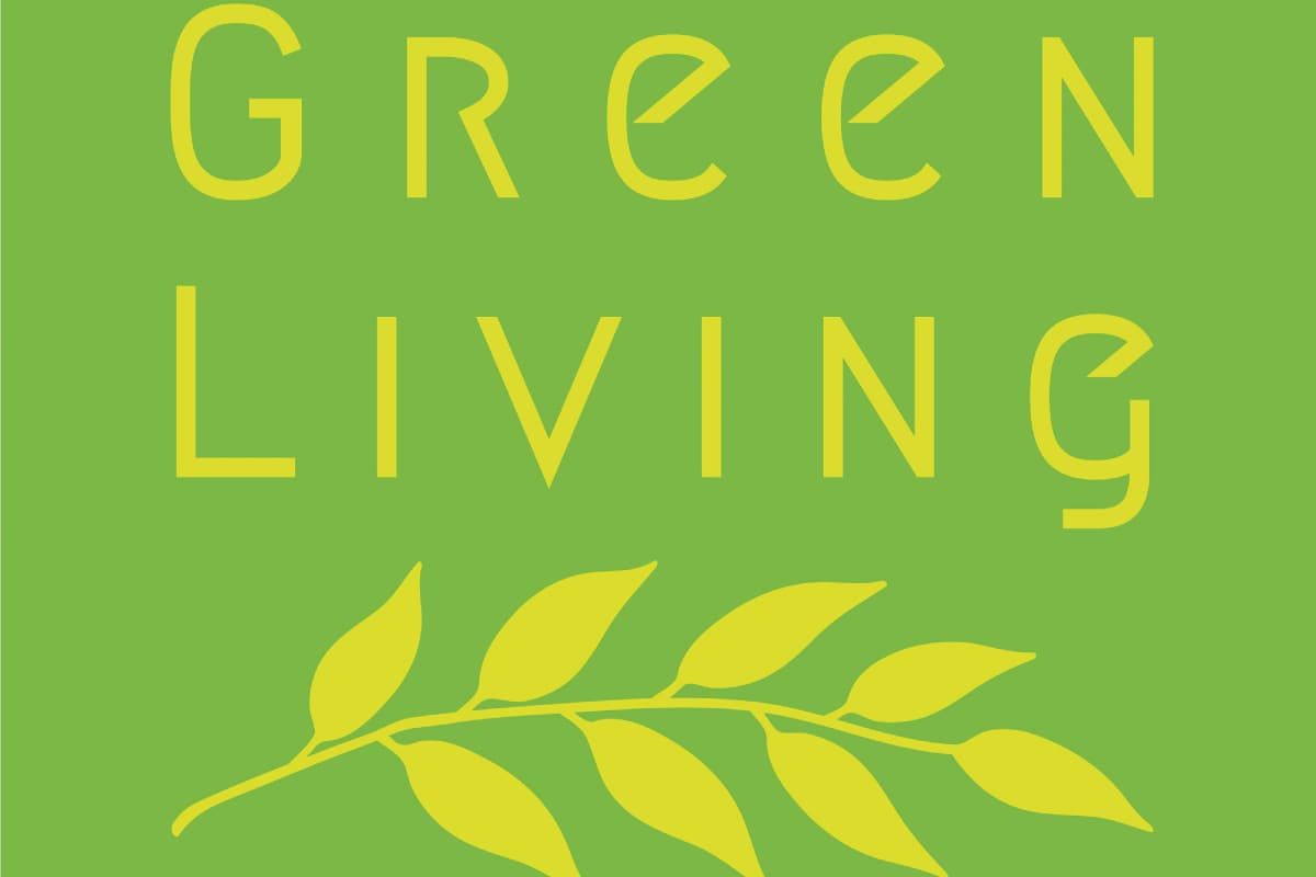 Green Living Gartengestaltung