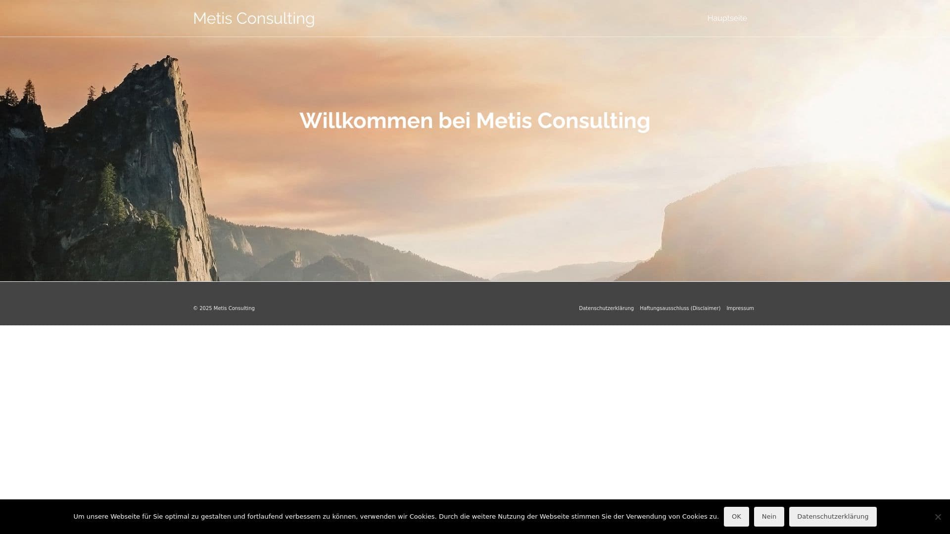 Metis Consulting e. U.