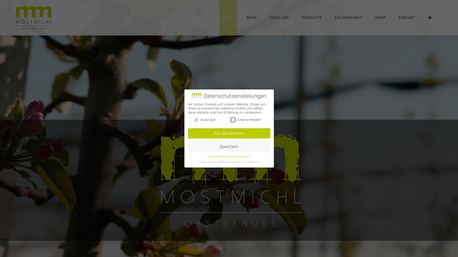 Most Michl