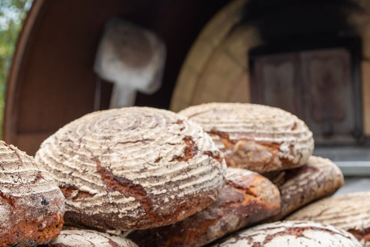 Helga Graef | BROT UND LEBEN