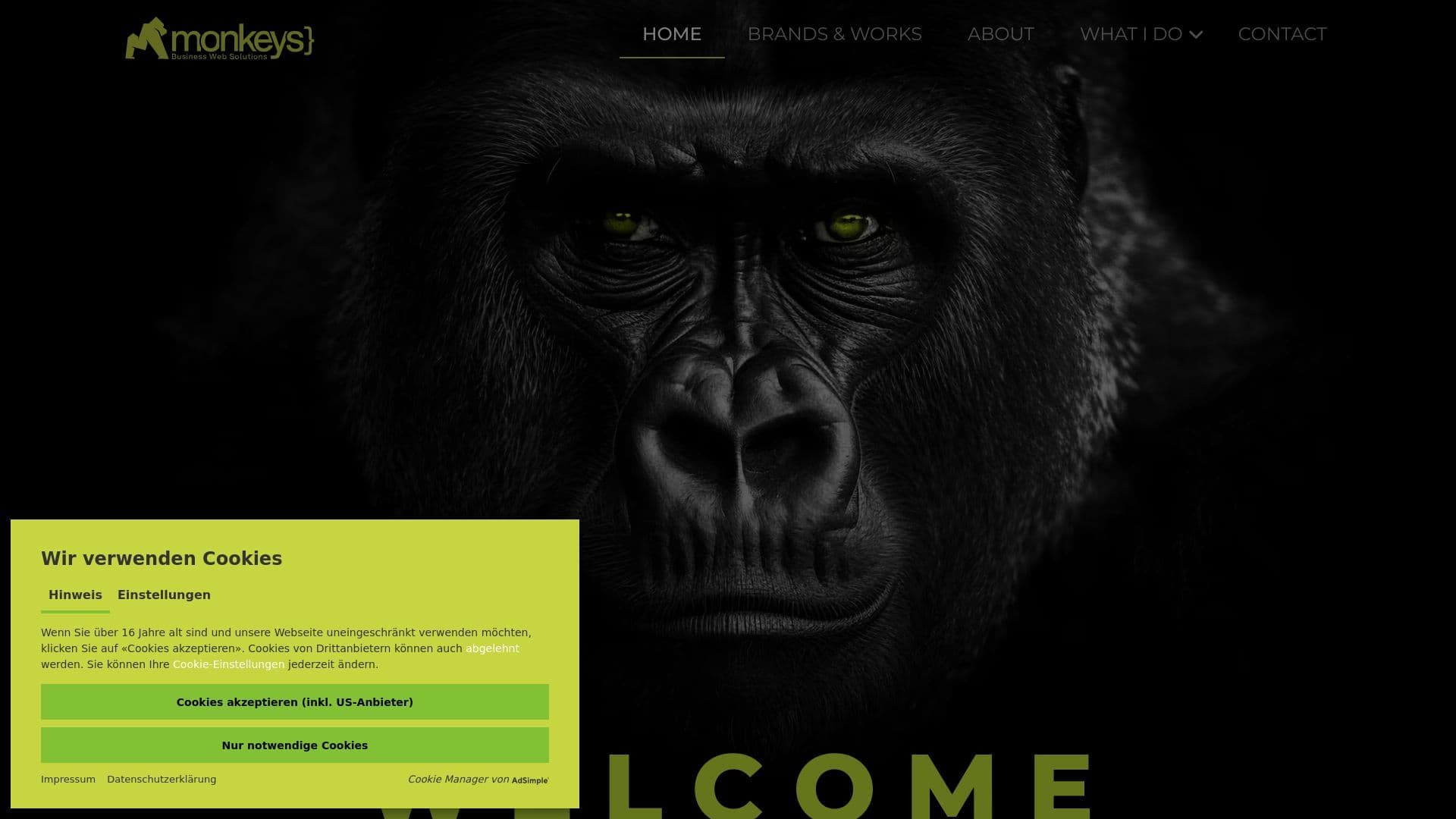 monkeys Business Web Solutions
