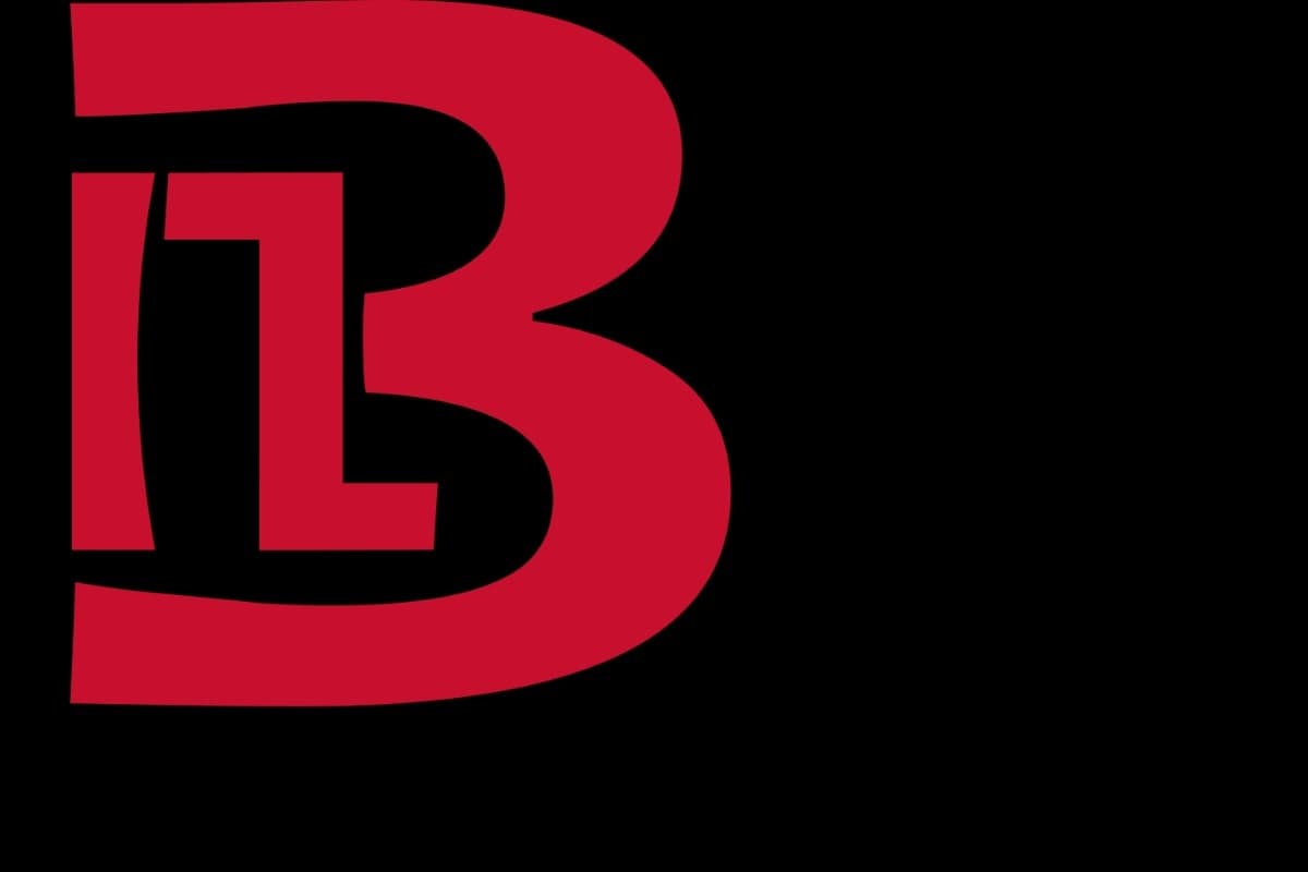 Wiens Entrümpelungs- , Räumungs-, Verlassenschaftensfirma Blinz